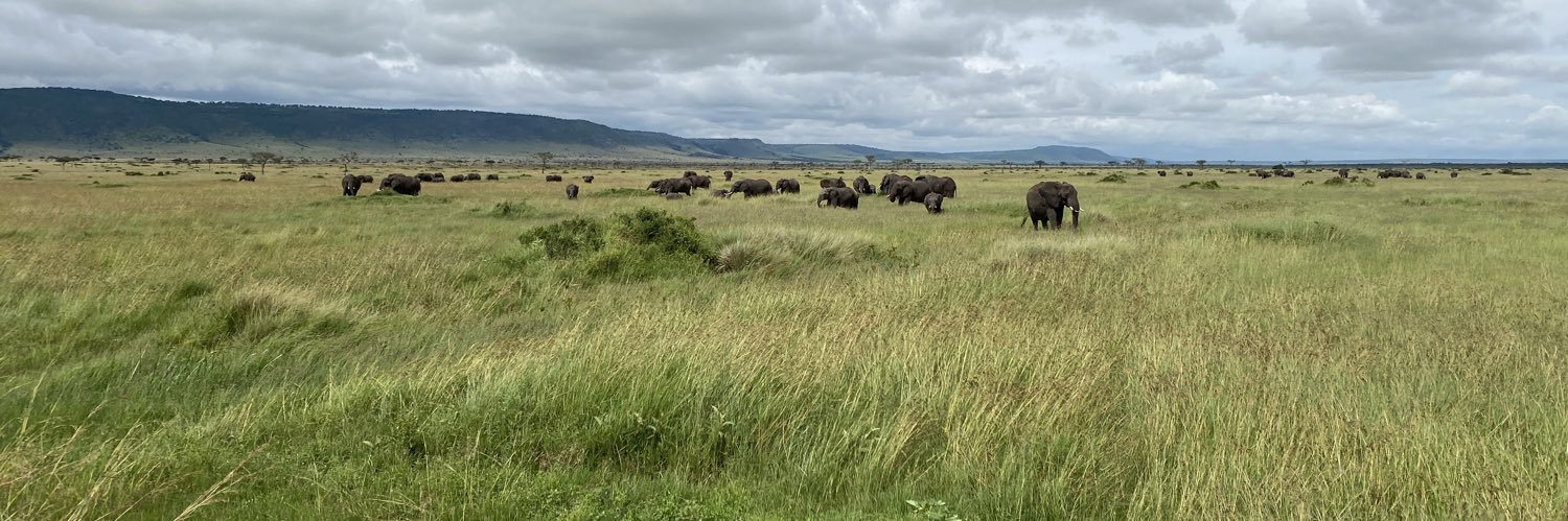 Taavi Sundell banner