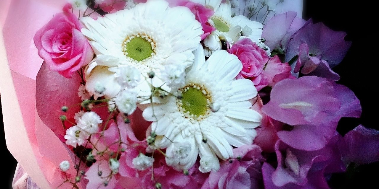 aysy0415's profile banner image