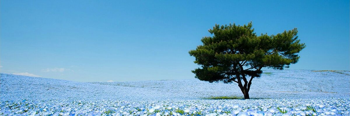 _lawhd's profile banner image