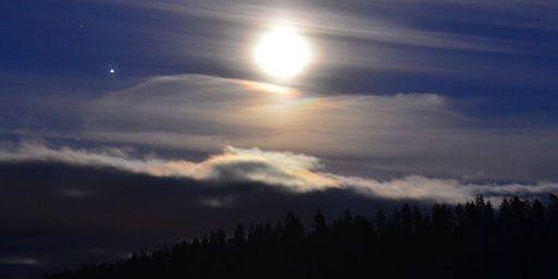 Luna_Noviembre's profile banner image
