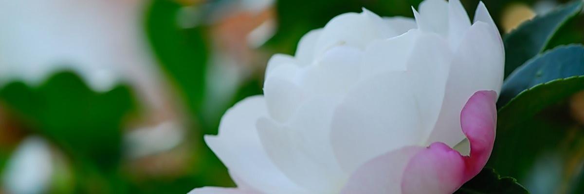 F__luvuKFT's profile banner image