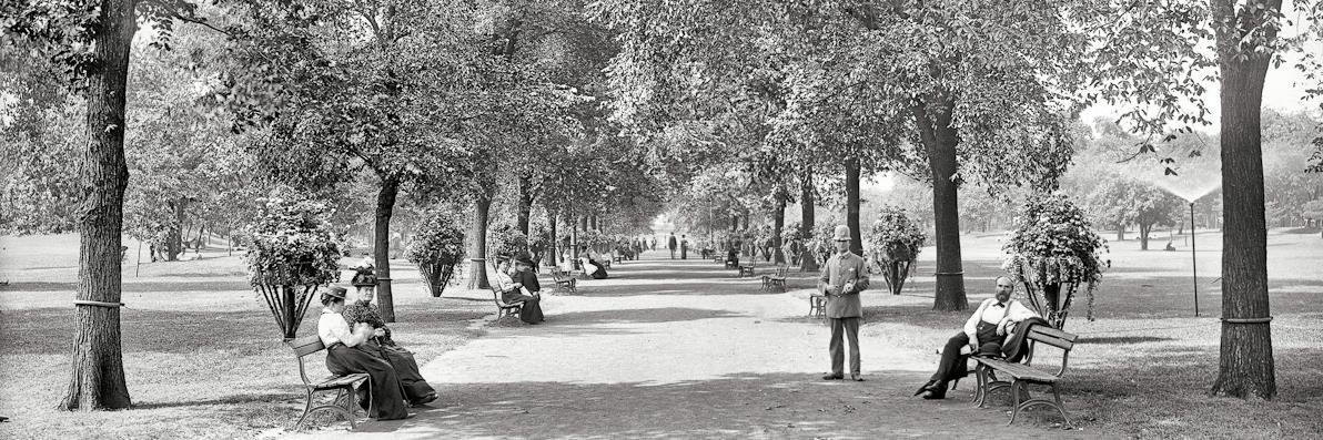 Lionel Mandrake banner