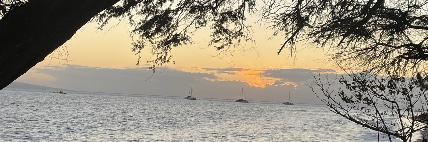 15HollyC's profile banner image