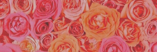 ___njmchi24's profile banner image