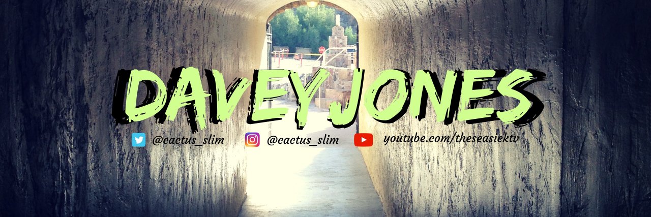cactus_slim's profile banner image