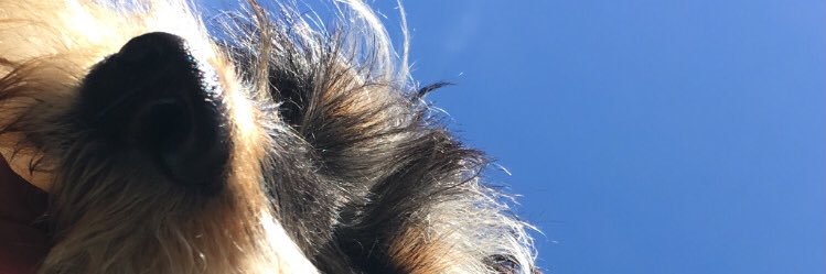 sofidemiguel1's profile banner image