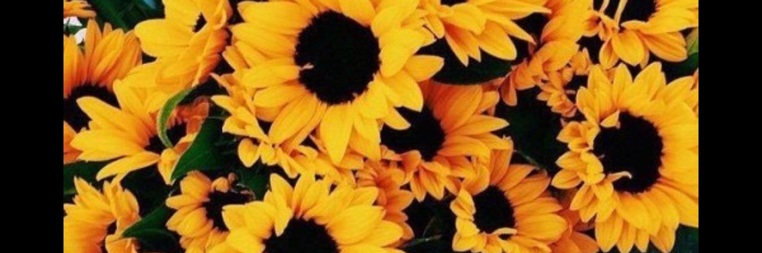 The_Thindi's profile banner image