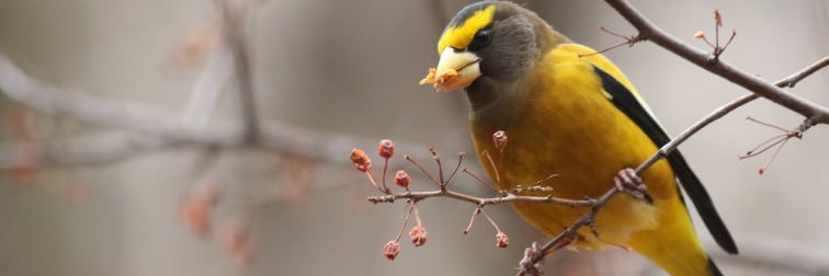 DebbieBecker1's profile banner image