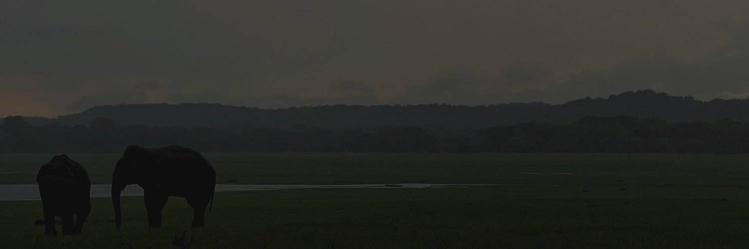 Magda banner