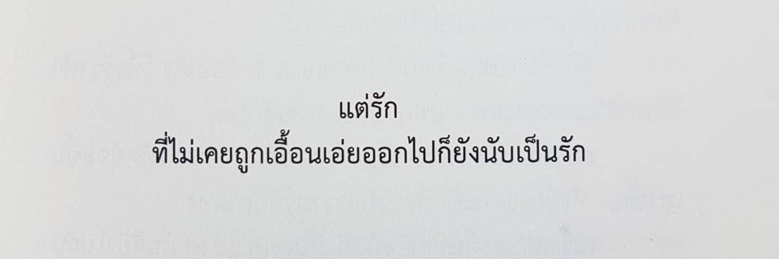 / banner