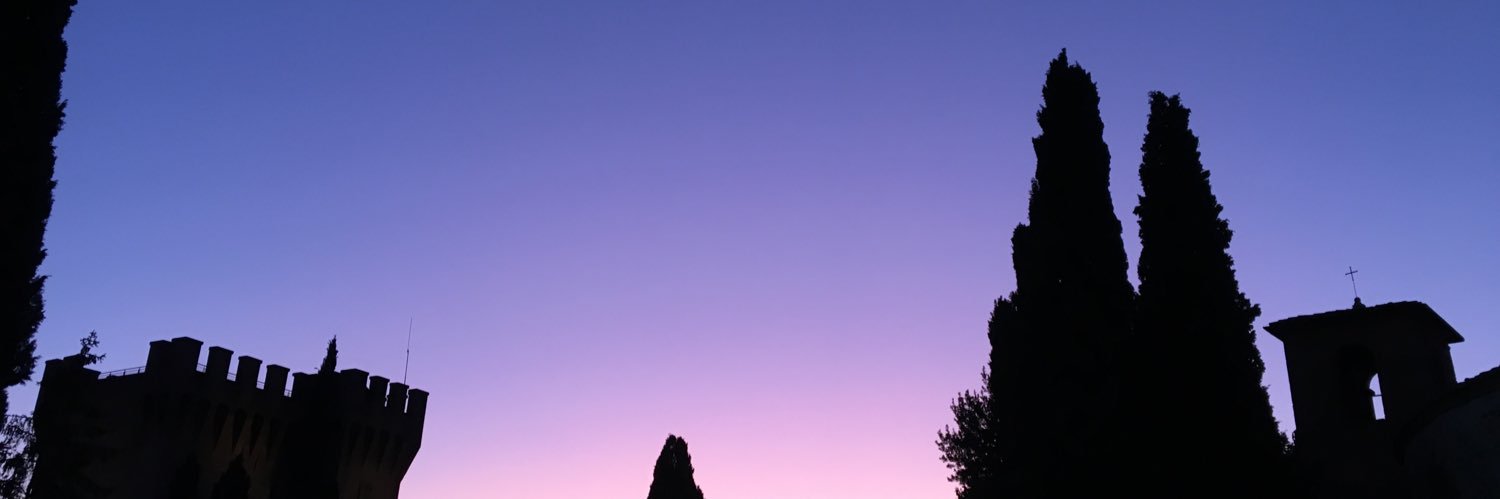 IreneReillo11's profile banner image