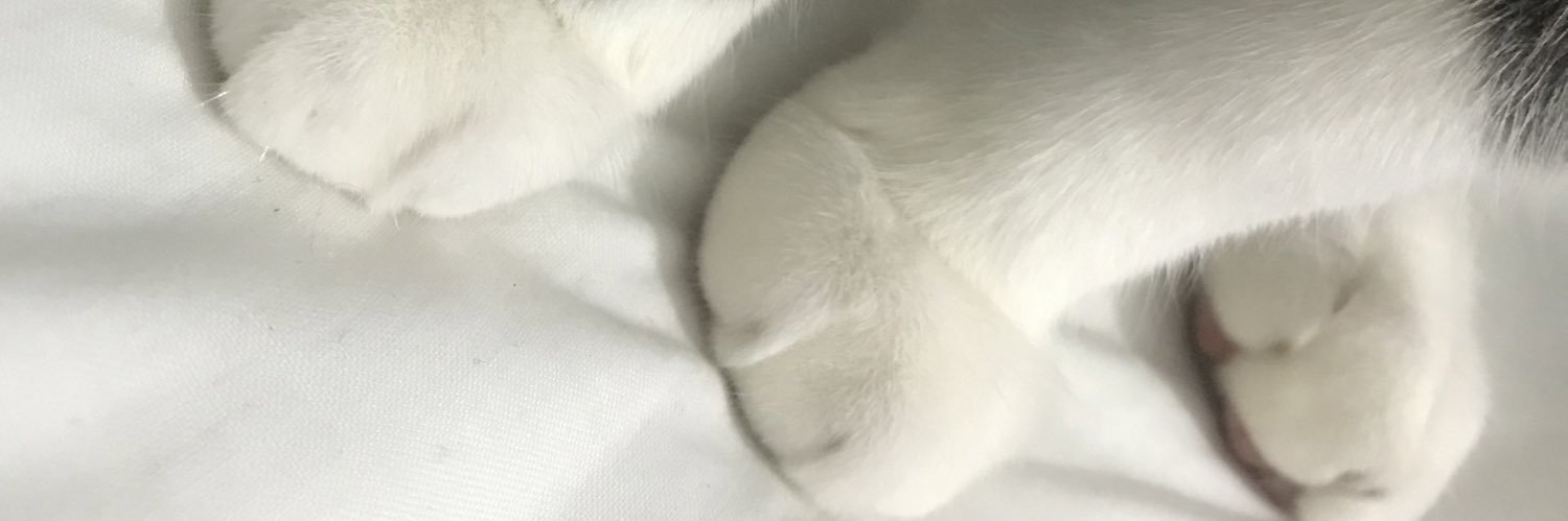 decemberseis's profile banner image
