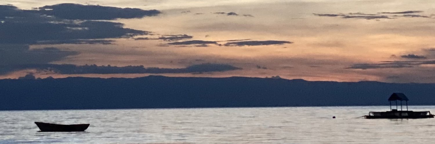 _fridolin's profile banner image