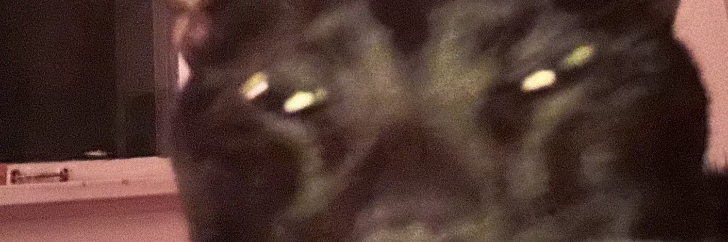 taylorafeldt's profile banner image