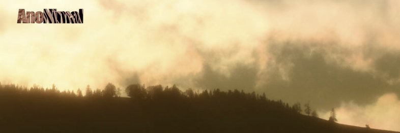 anonimal's profile banner image