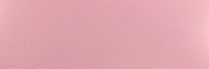 ねぎ banner