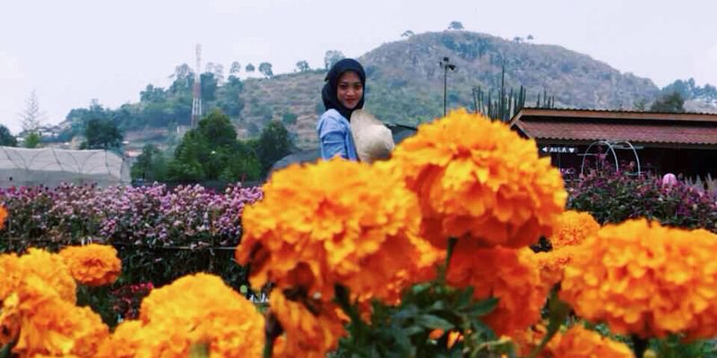 yattyerni's profile banner image