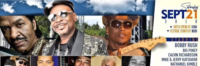 MS Delta Blues Fest banner