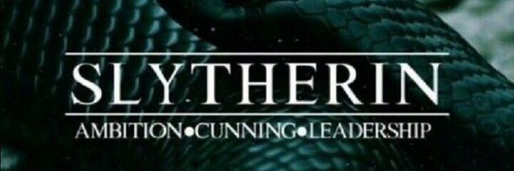 excluidax_'s profile banner image