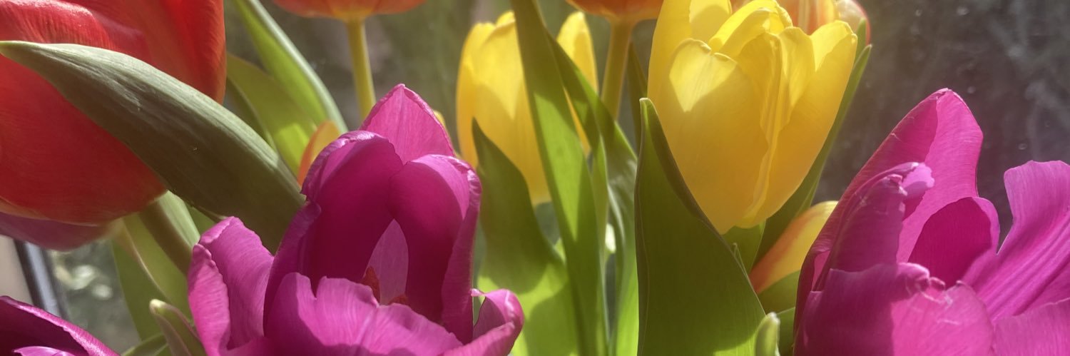 HollyRobertson4's profile banner image