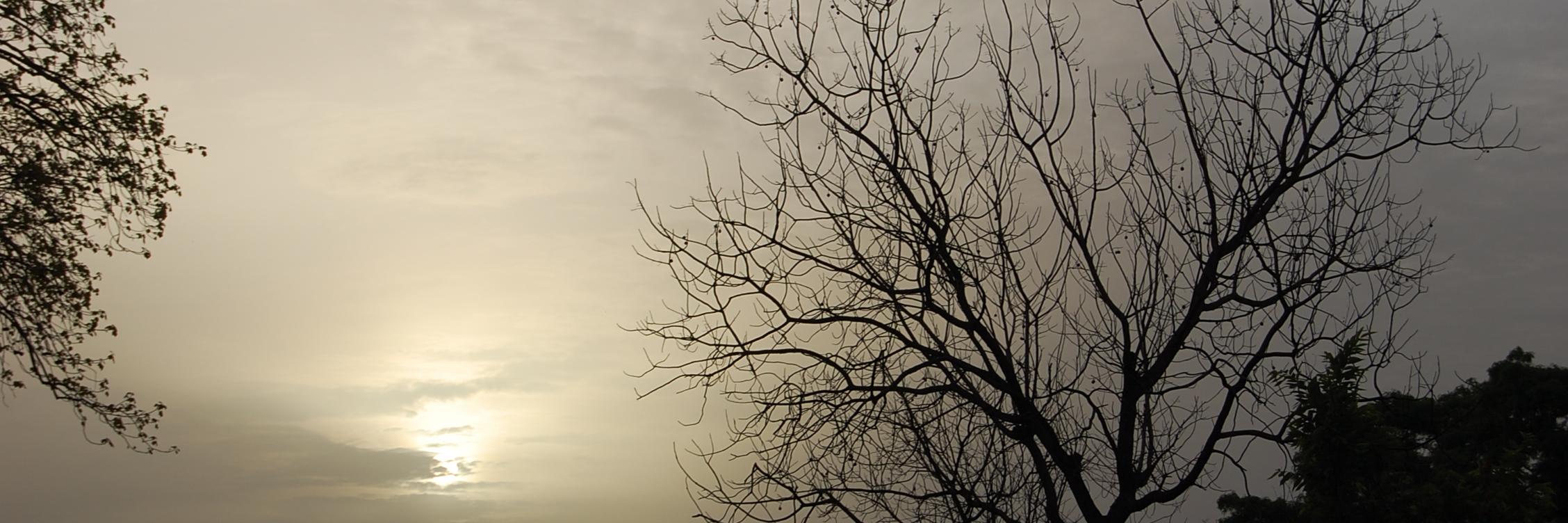 braidoquintana's profile banner image