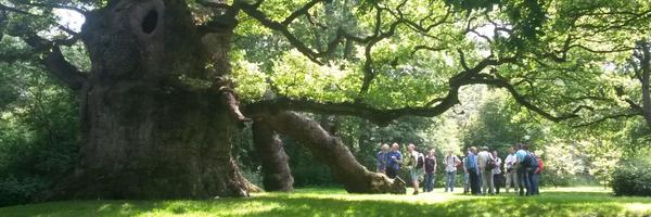 bomenbieb Profile Banner