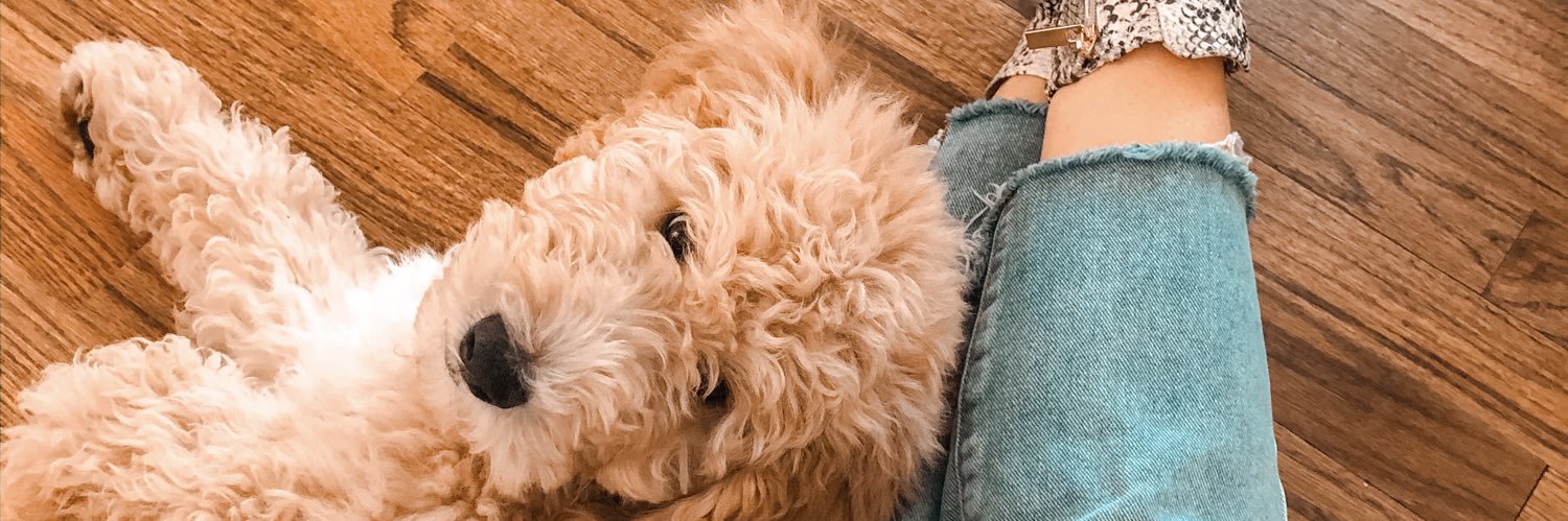 kelseyproff's profile banner image