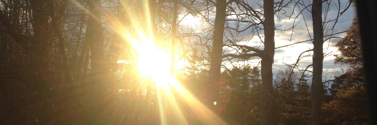 m_trying's profile banner image