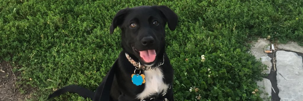shankellyy's profile banner image