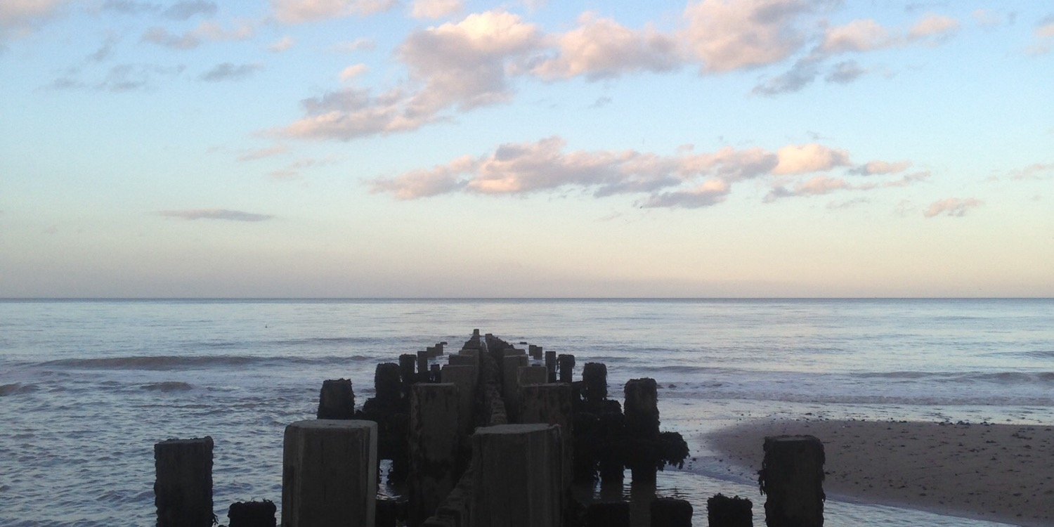 Hannah Perowne banner