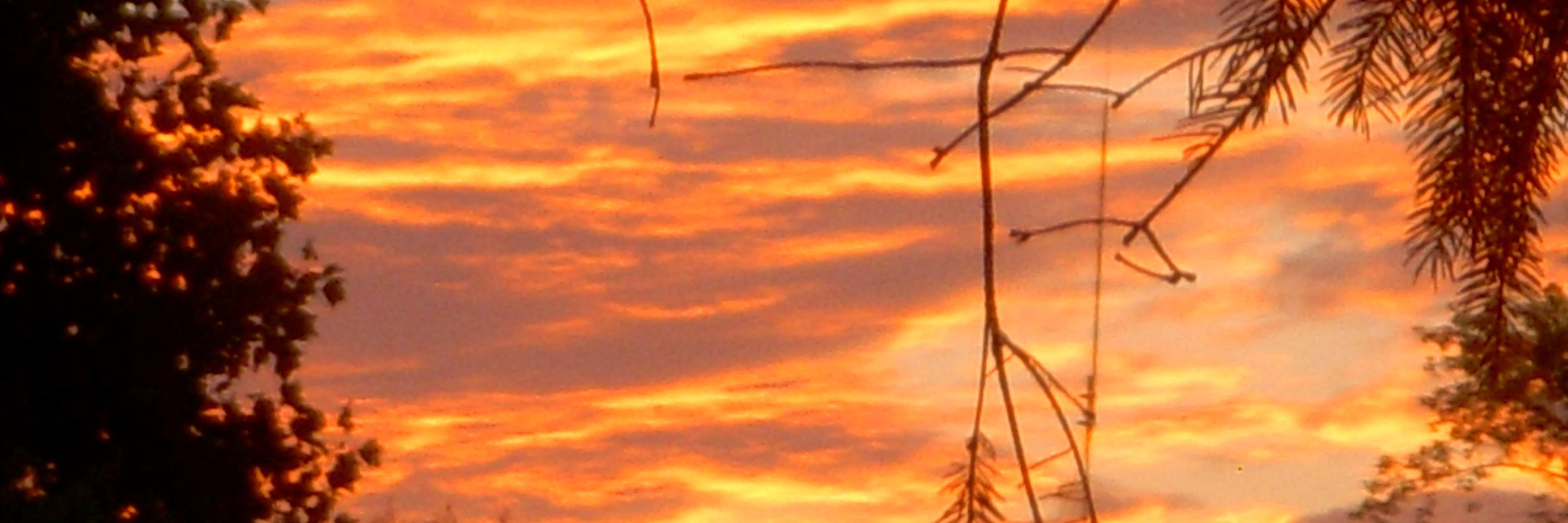 JonDi1111's profile banner image