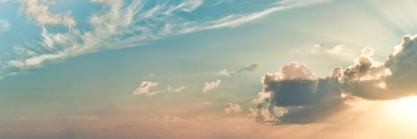 Vastalla Profile Banner