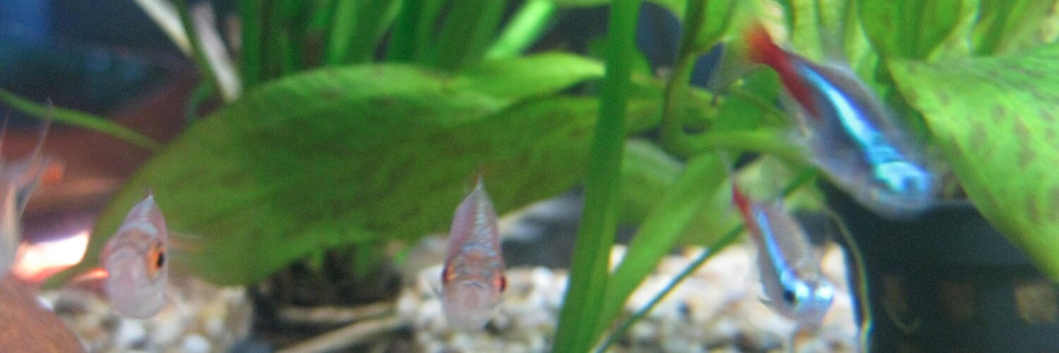 Juanita Olaya 💙 @juanitao.bsky.social banner