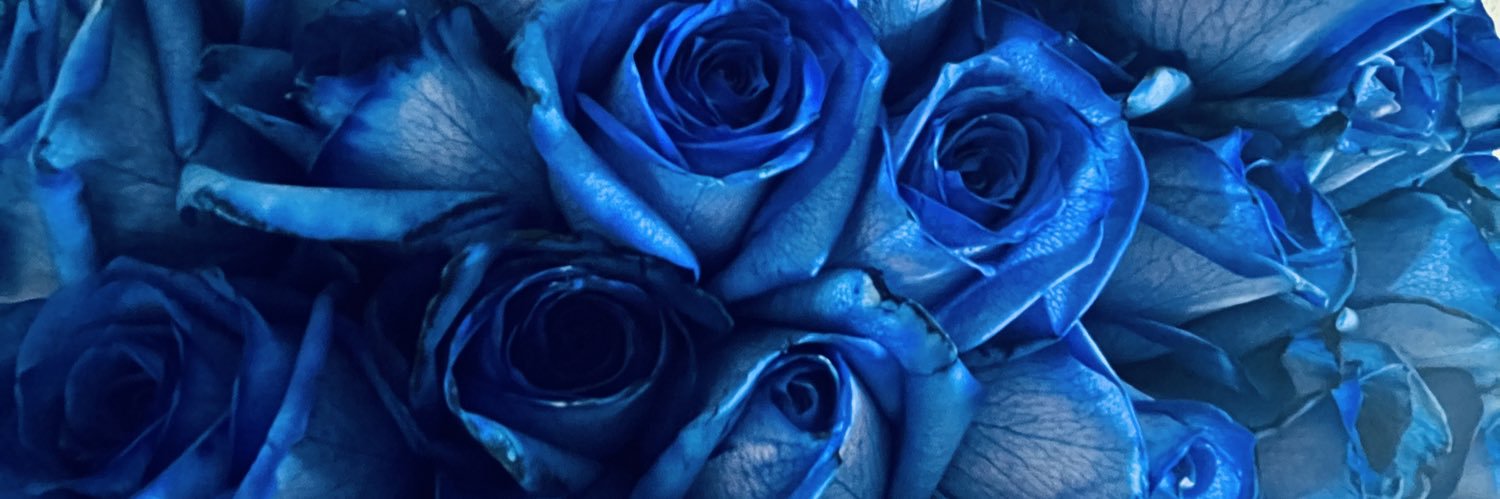 ttyyts1's profile banner image