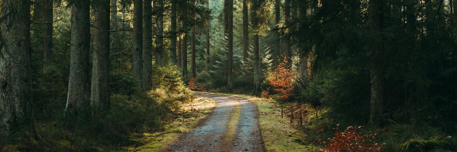 andres vargas banner