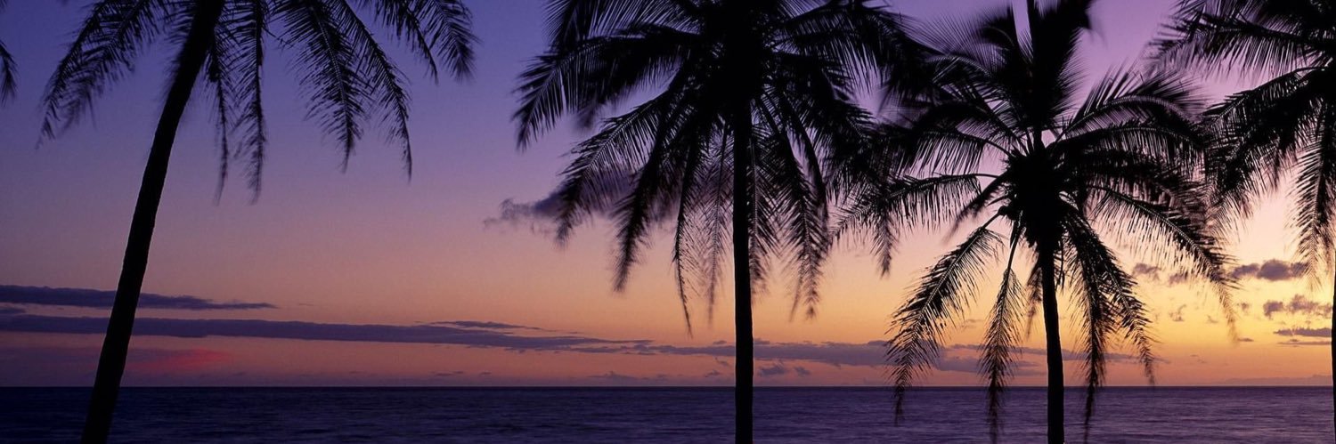 elle_marriott's profile banner image