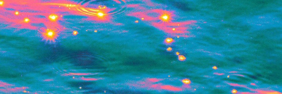 Sam ૮ ･ ﻌ･ა banner