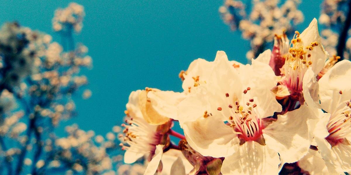 robynkb15's profile banner image