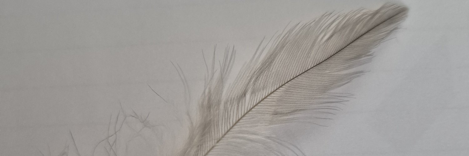 banushing's profile banner image