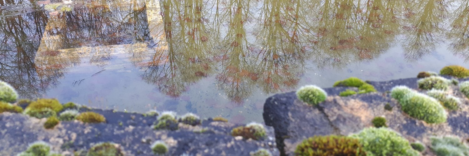 TregramSable's profile banner image