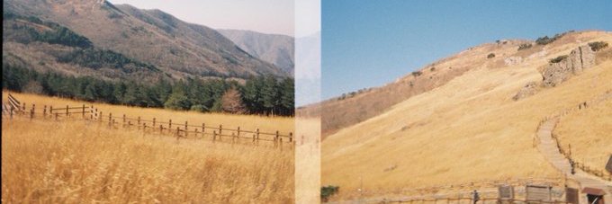 l__c_m__'s profile banner image