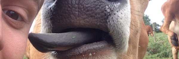 RasmusVMadsen Profile Banner