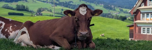 Throrf Profile Banner