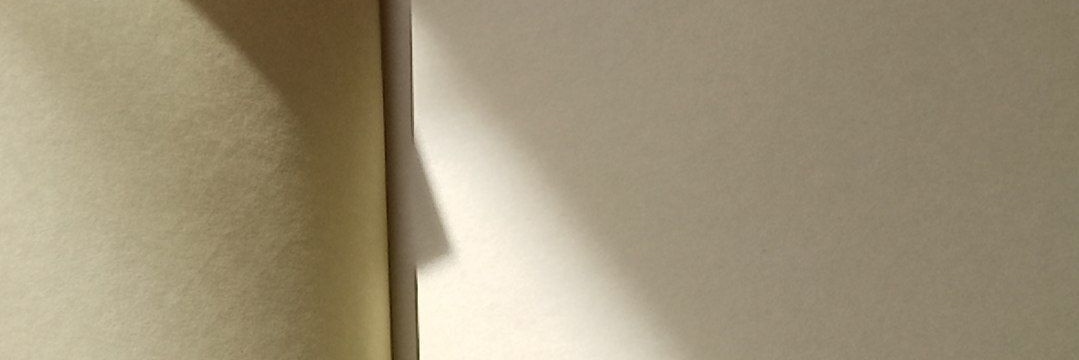 saltgvirl's profile banner image