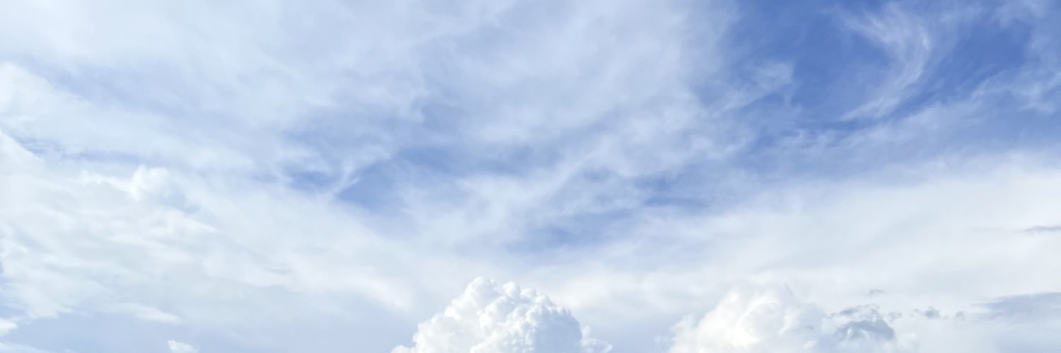 DaPhonsu's profile banner image