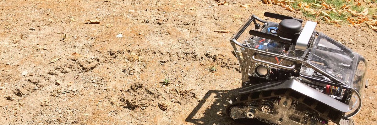 Raffaello Bonghi, PhD banner