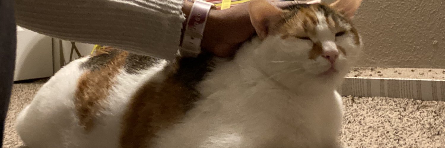 mannahtee's profile banner image