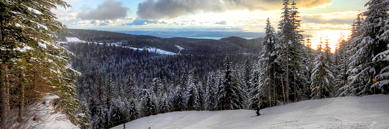 Powder Days banner