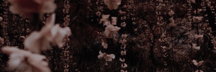 eddiesbracelet's profile banner image