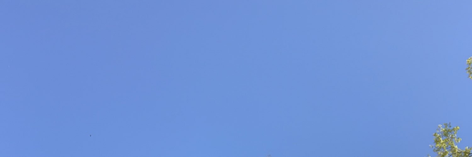 Dfgcfgd's profile banner image